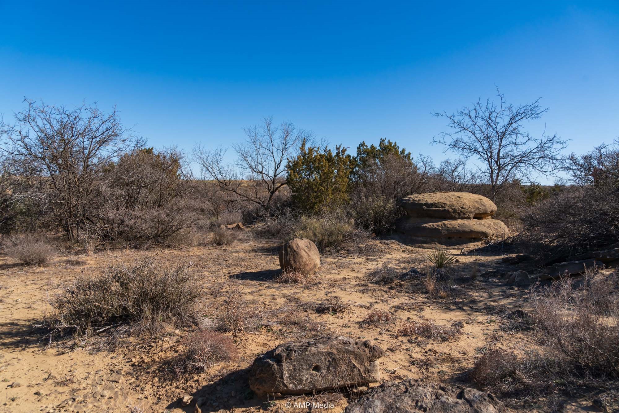 Tbd Fm-2836 Colorado City TX 79512