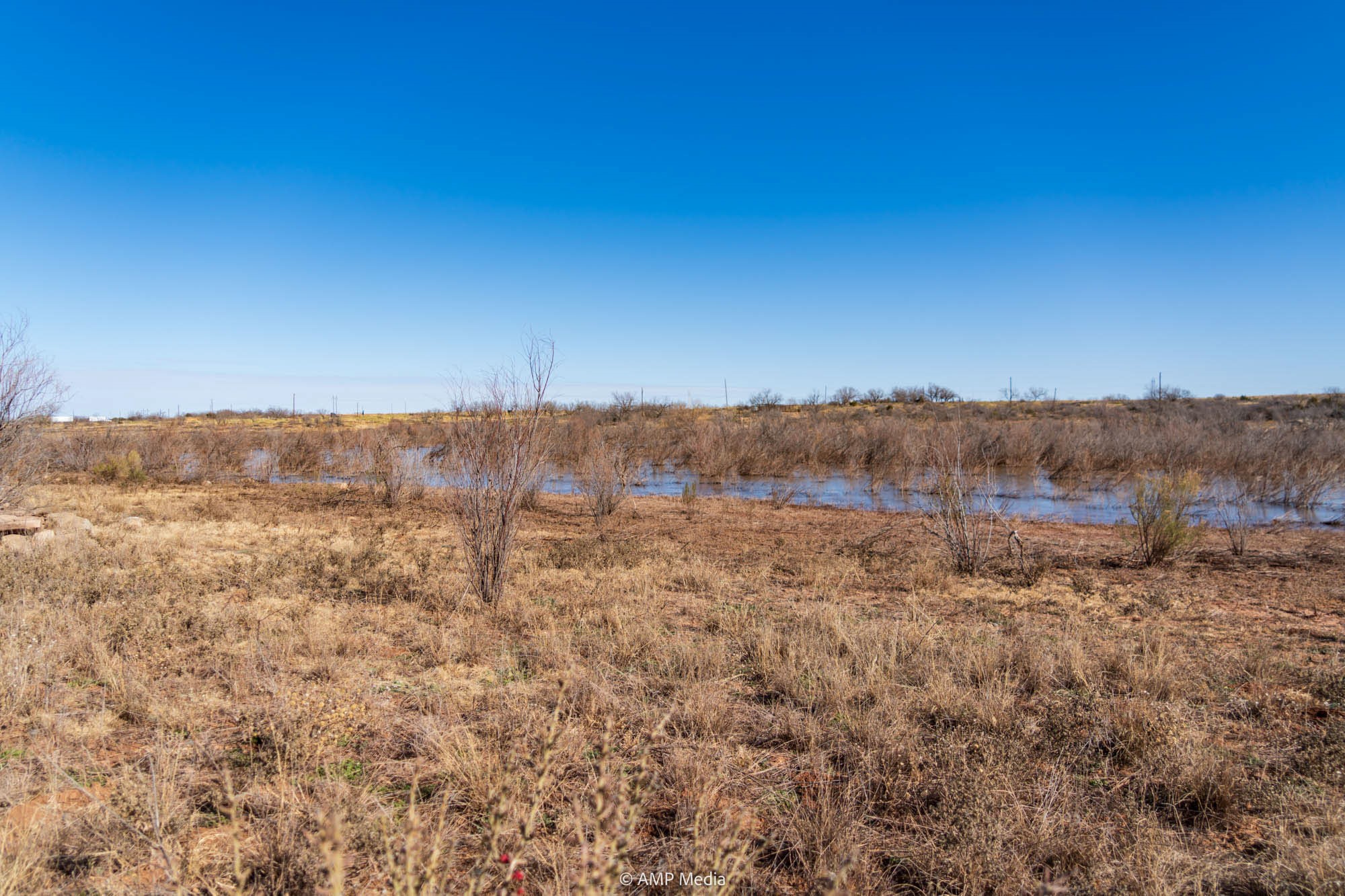 Tbd Fm-2836 Colorado City TX 79512