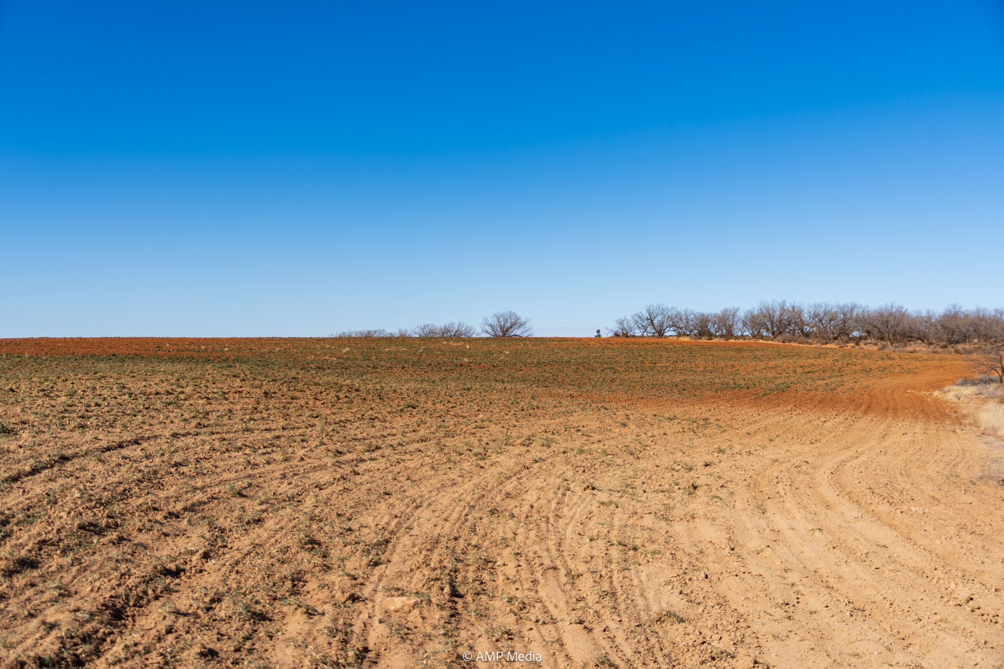 Tbd Fm-2836 Colorado City TX 79512