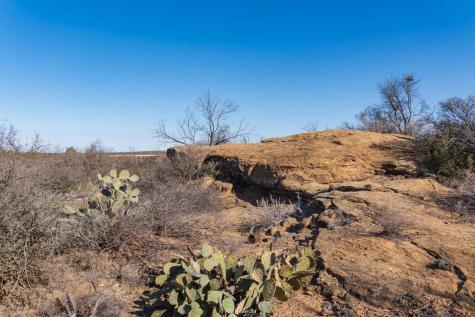 Tbd Fm-2836 Colorado City TX 79512