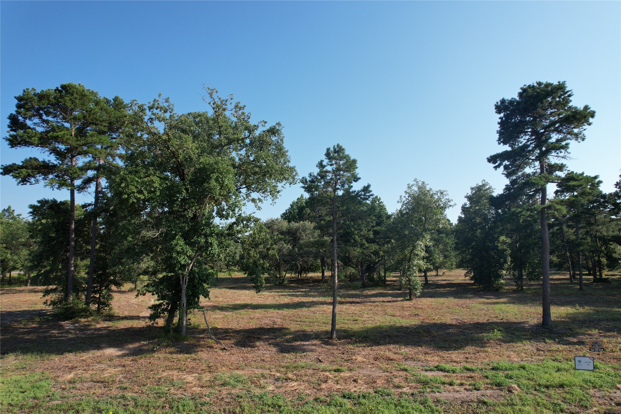 3145 Shadow Pine Drive Larue TX 75770