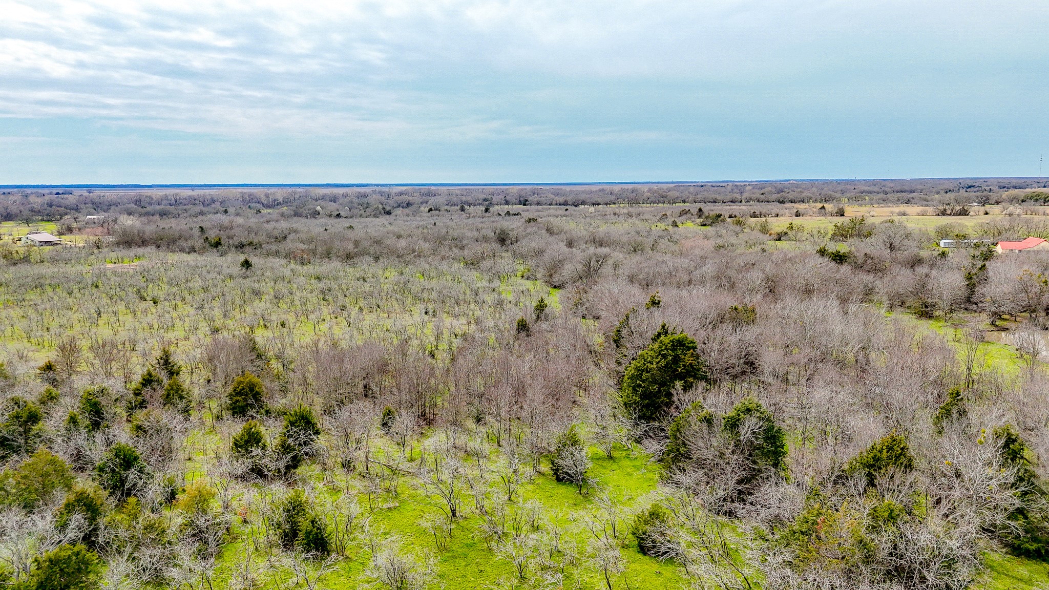 Tbd Cherry Lane Kerens TX 75144