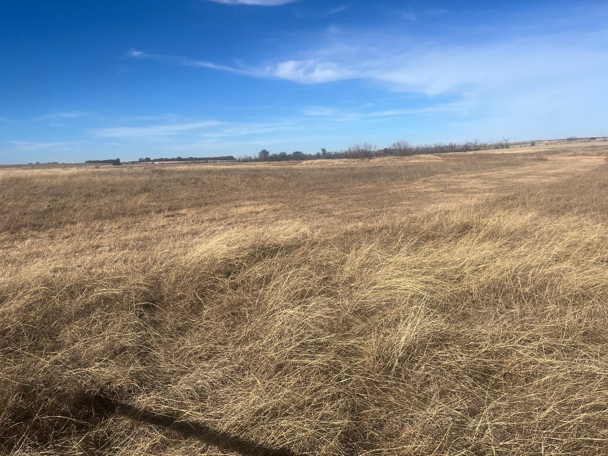 436 County Line Road Bowie TX 76230