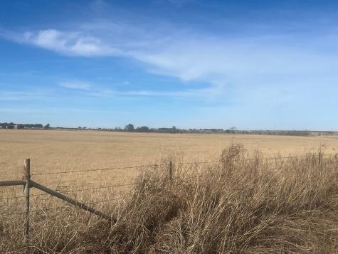 436 County Line Road Bowie TX 76230