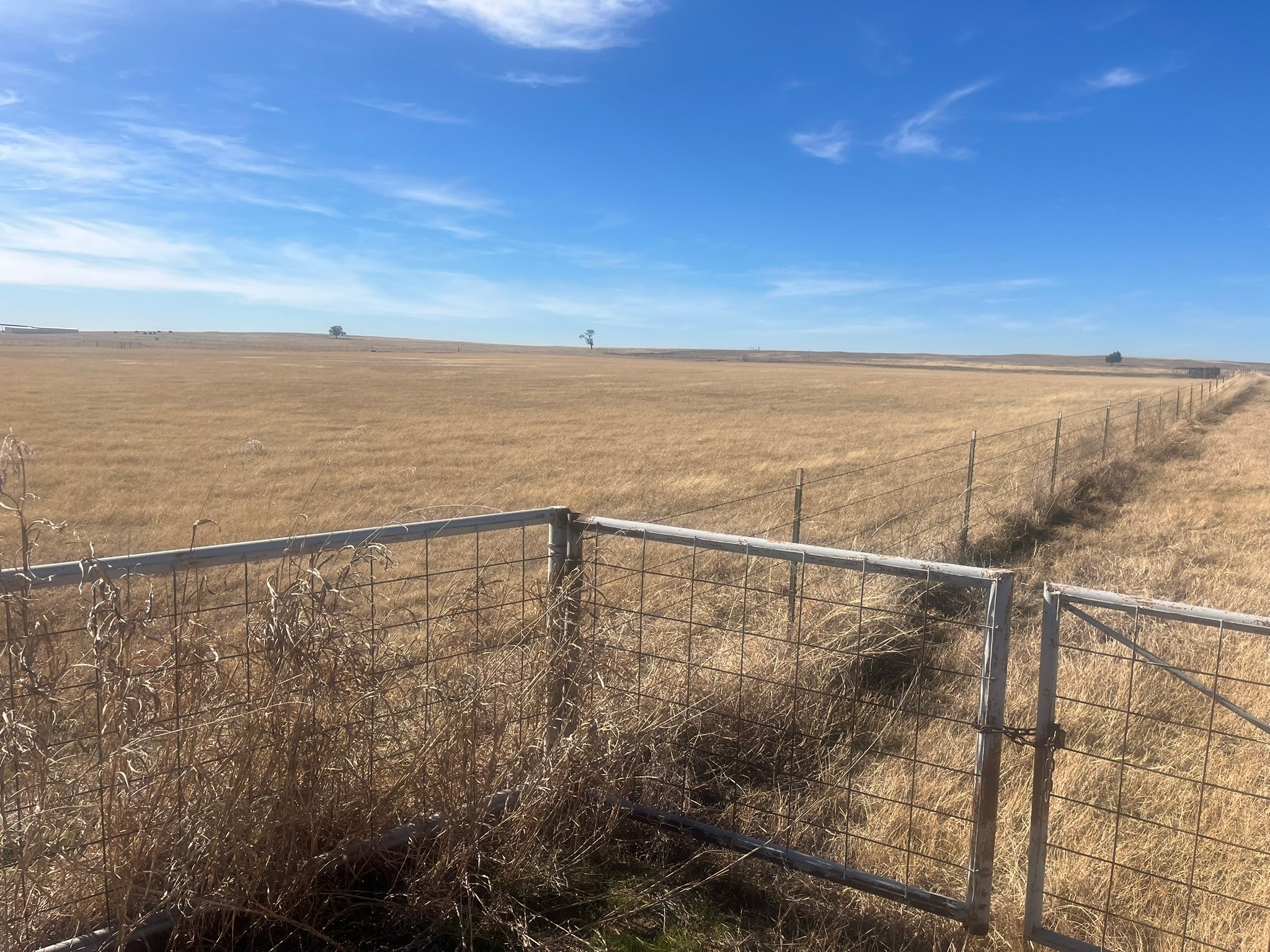 436 County Line Road Bowie TX 76230