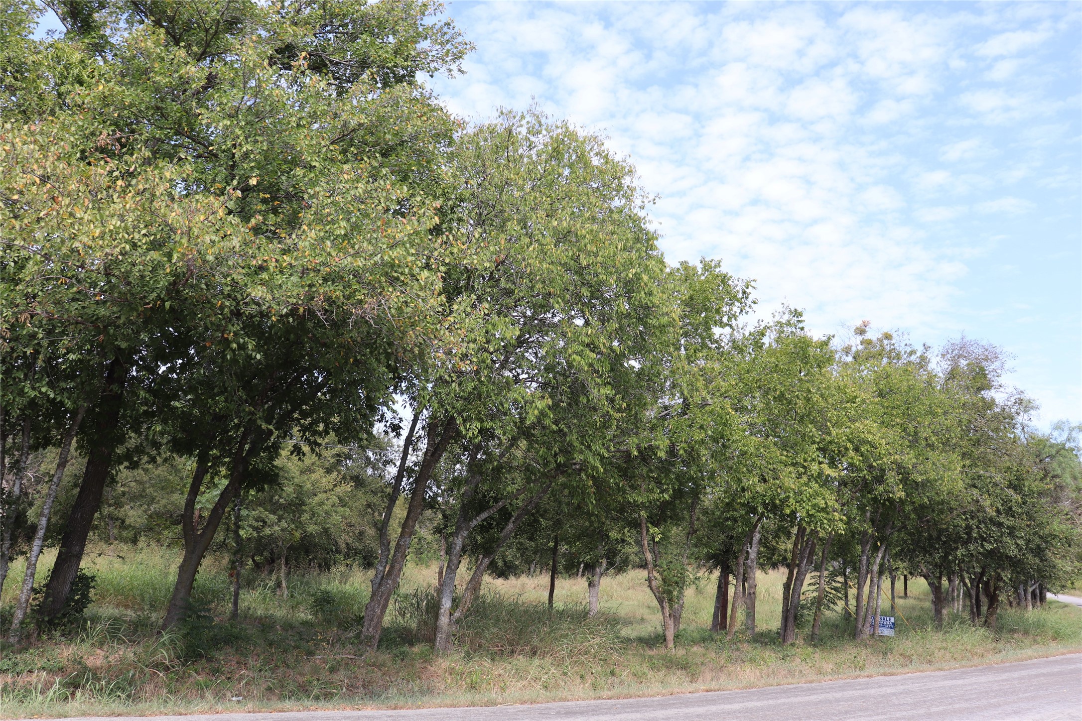 3012 S Nolan River Road Cleburne TX 76033