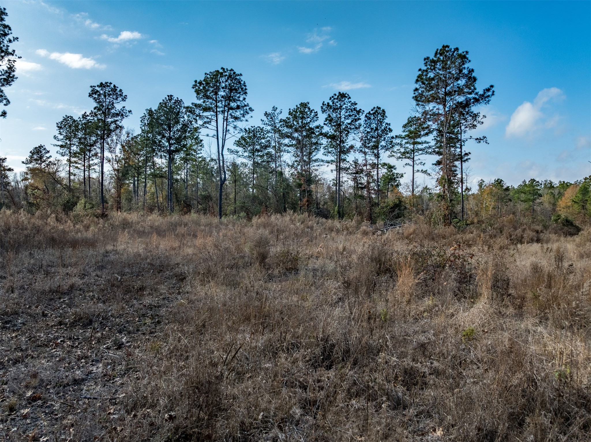 Tbd Tom Woodley Road Marshall TX 75672