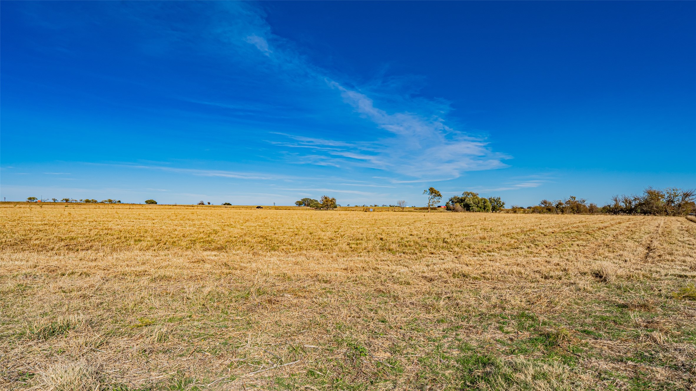 3700 County Road 330 Dublin TX 76446