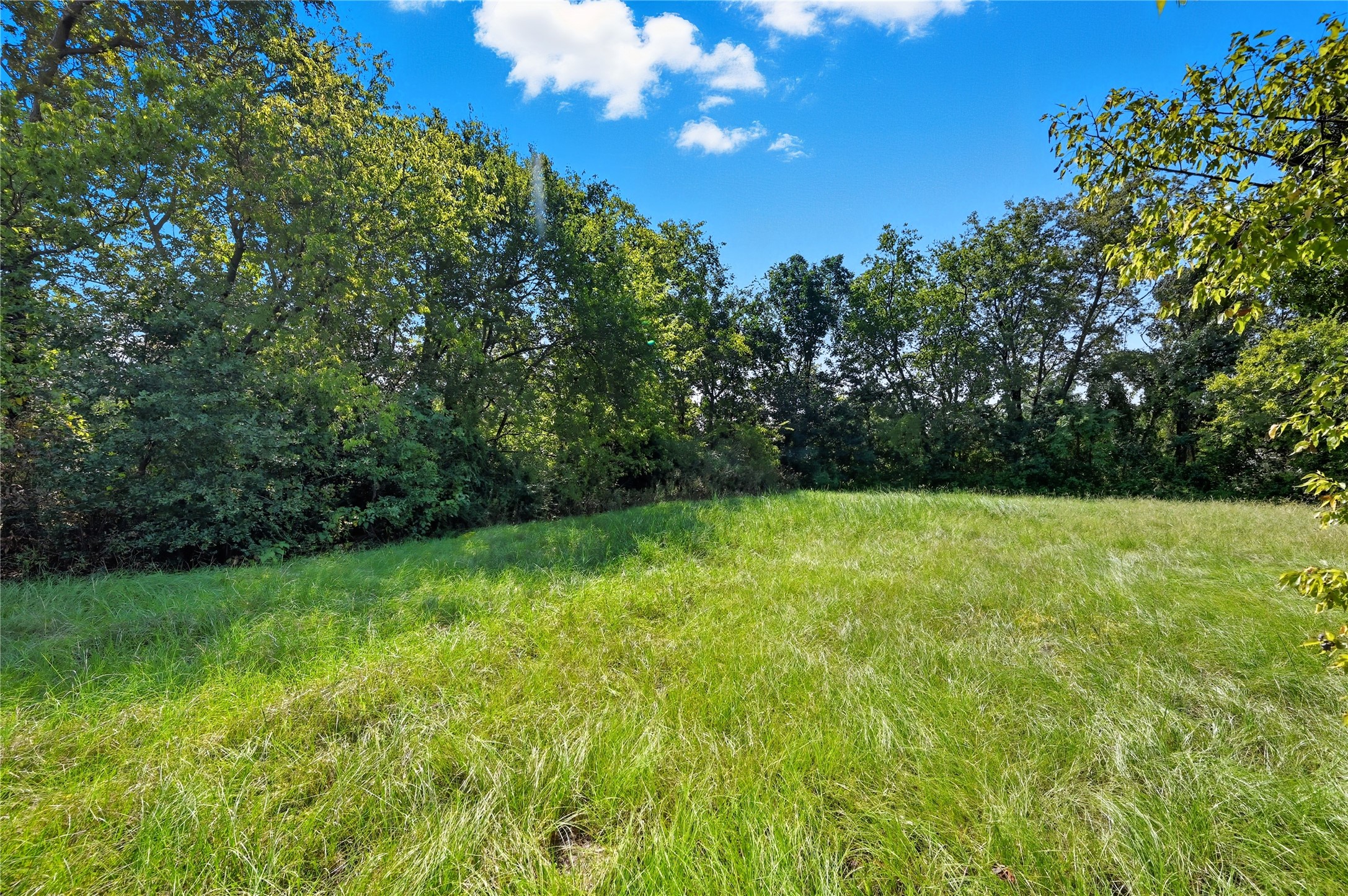 Tbd Lot 3 West End Street Terrell TX 75160