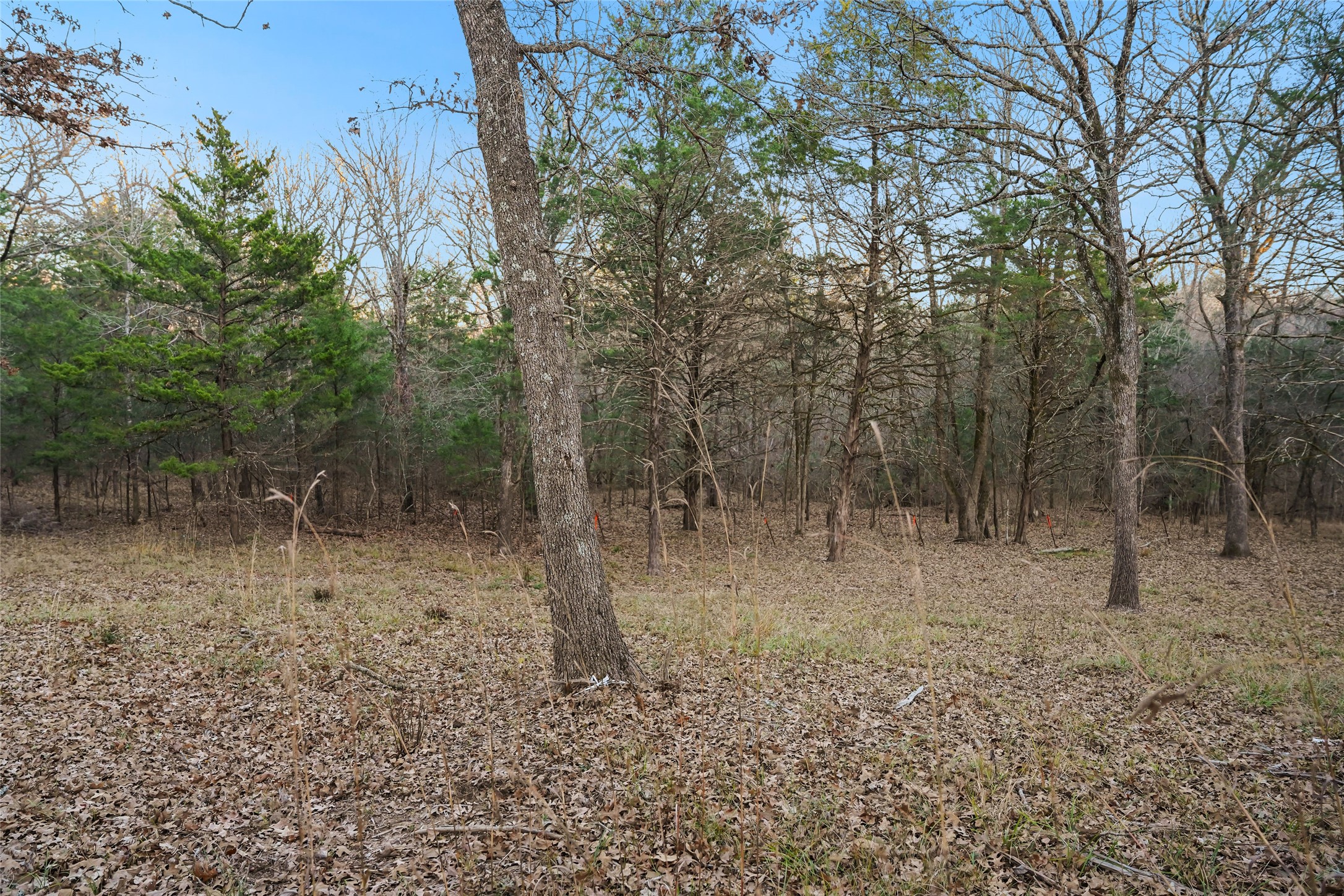 344 Rs County Road 4254 Point TX 75472
