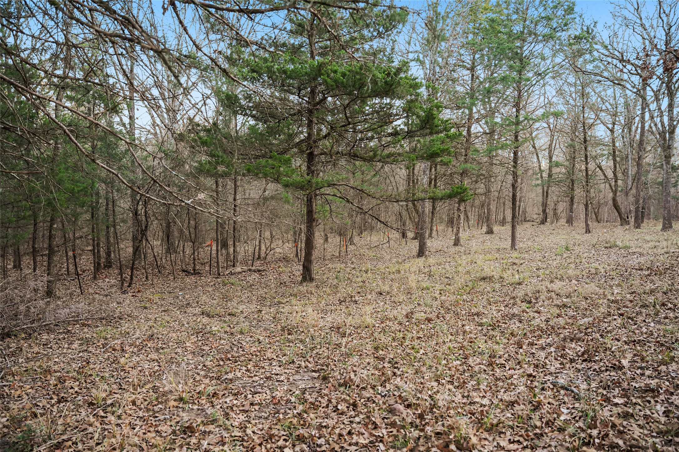 344 Rs County Road 4254 Point TX 75472