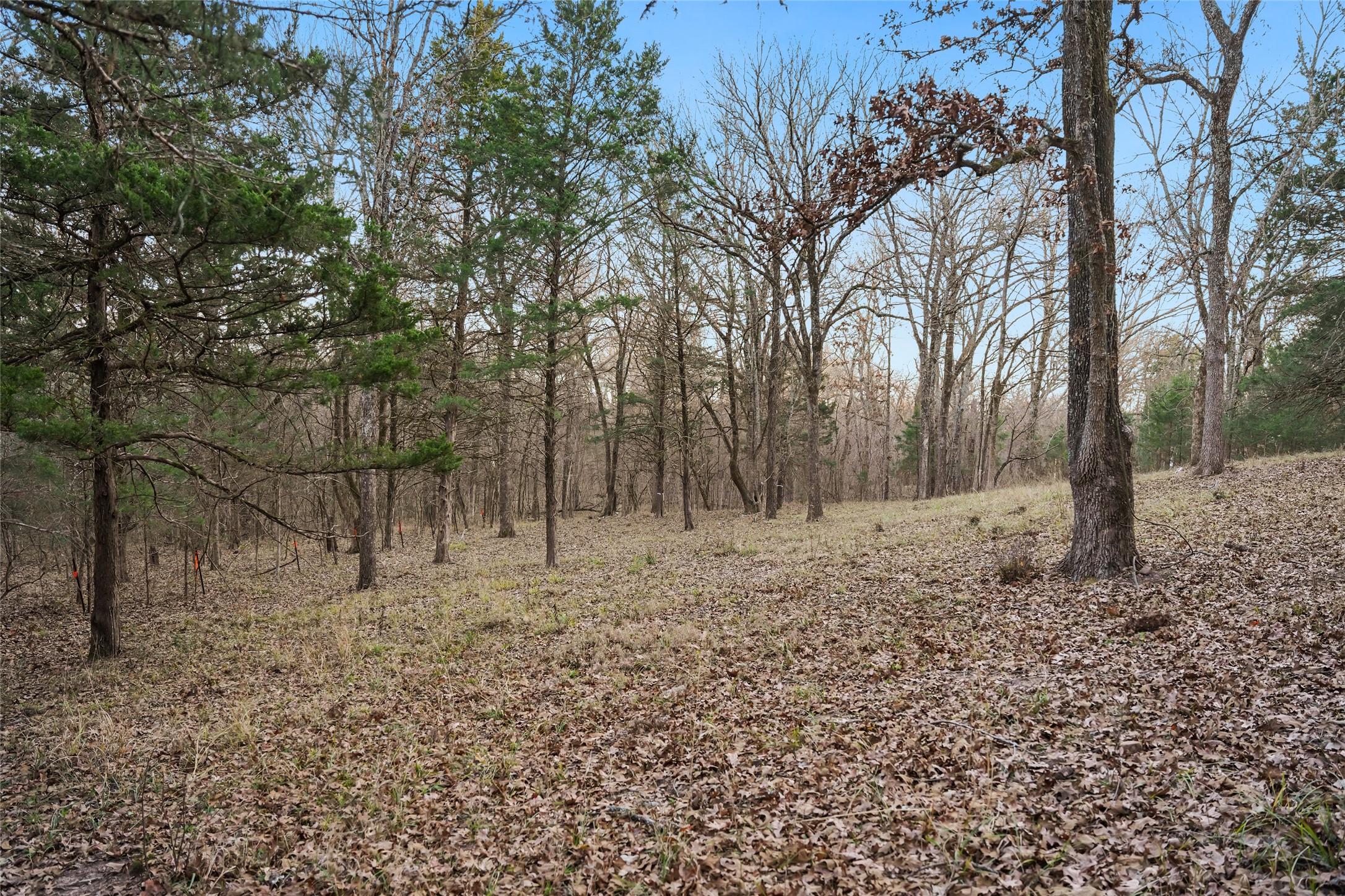 344 Rs County Road 4254 Point TX 75472