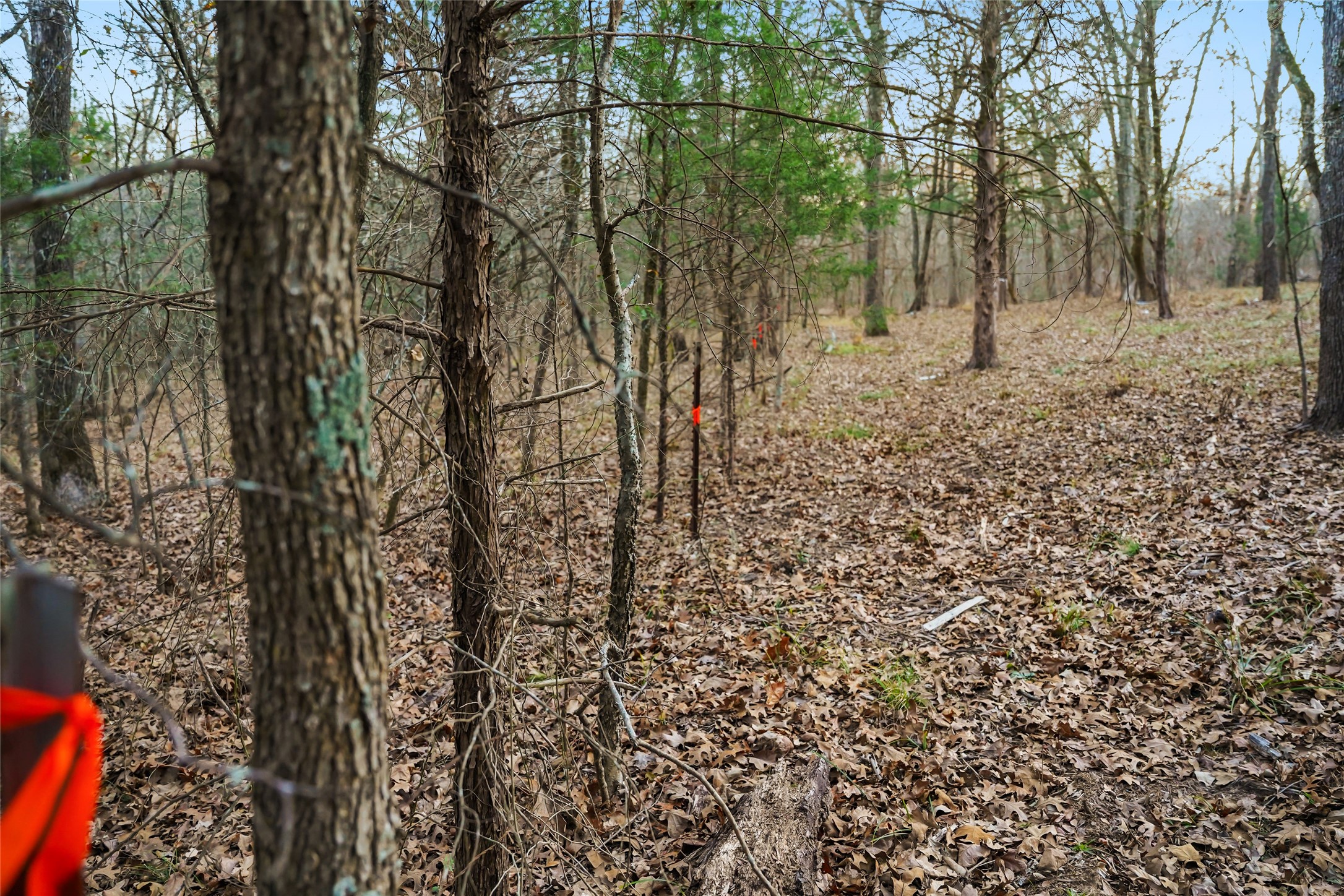344 Rs County Road 4254 Point TX 75472