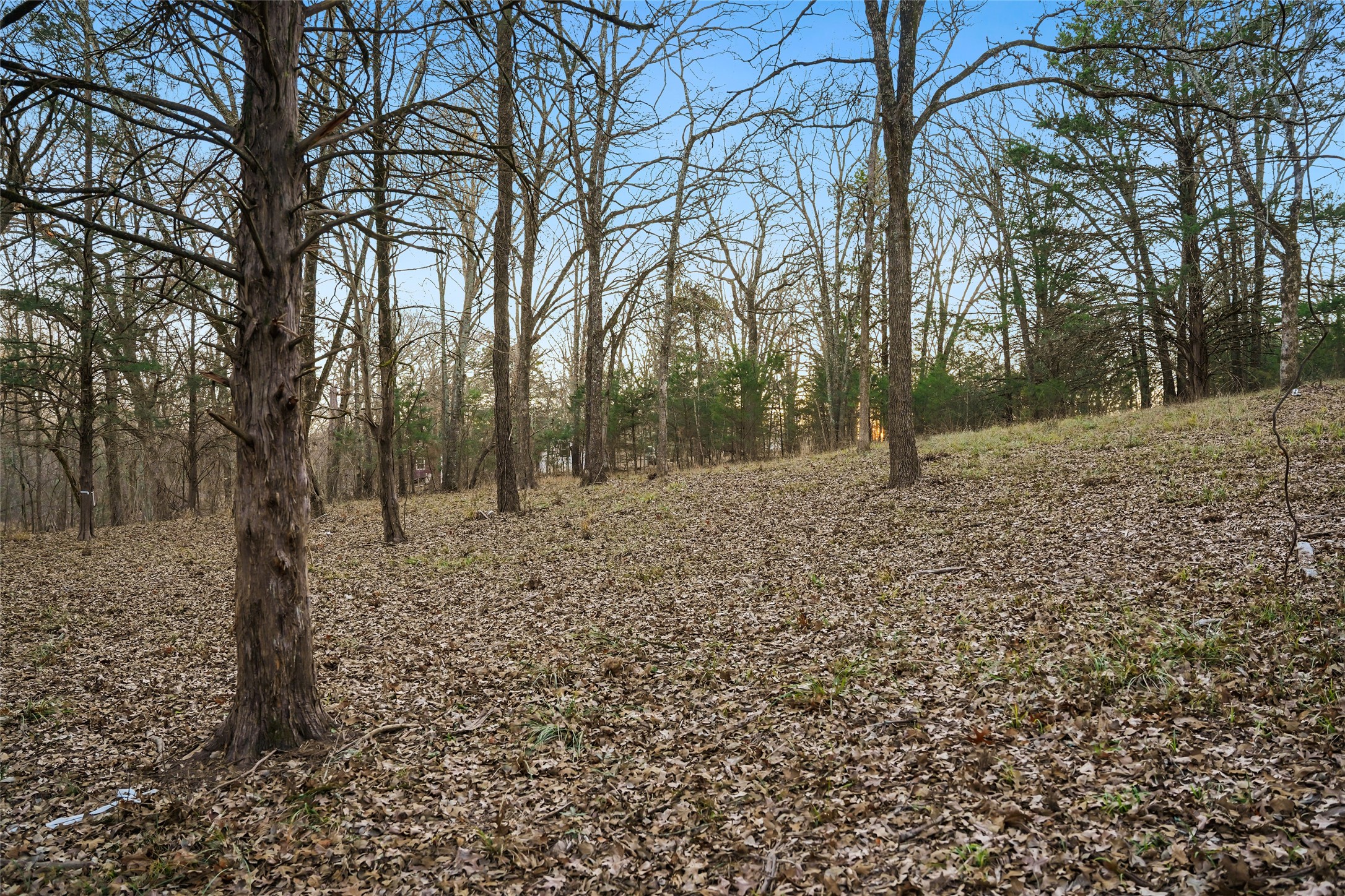 344 Rs County Road 4254 Point TX 75472