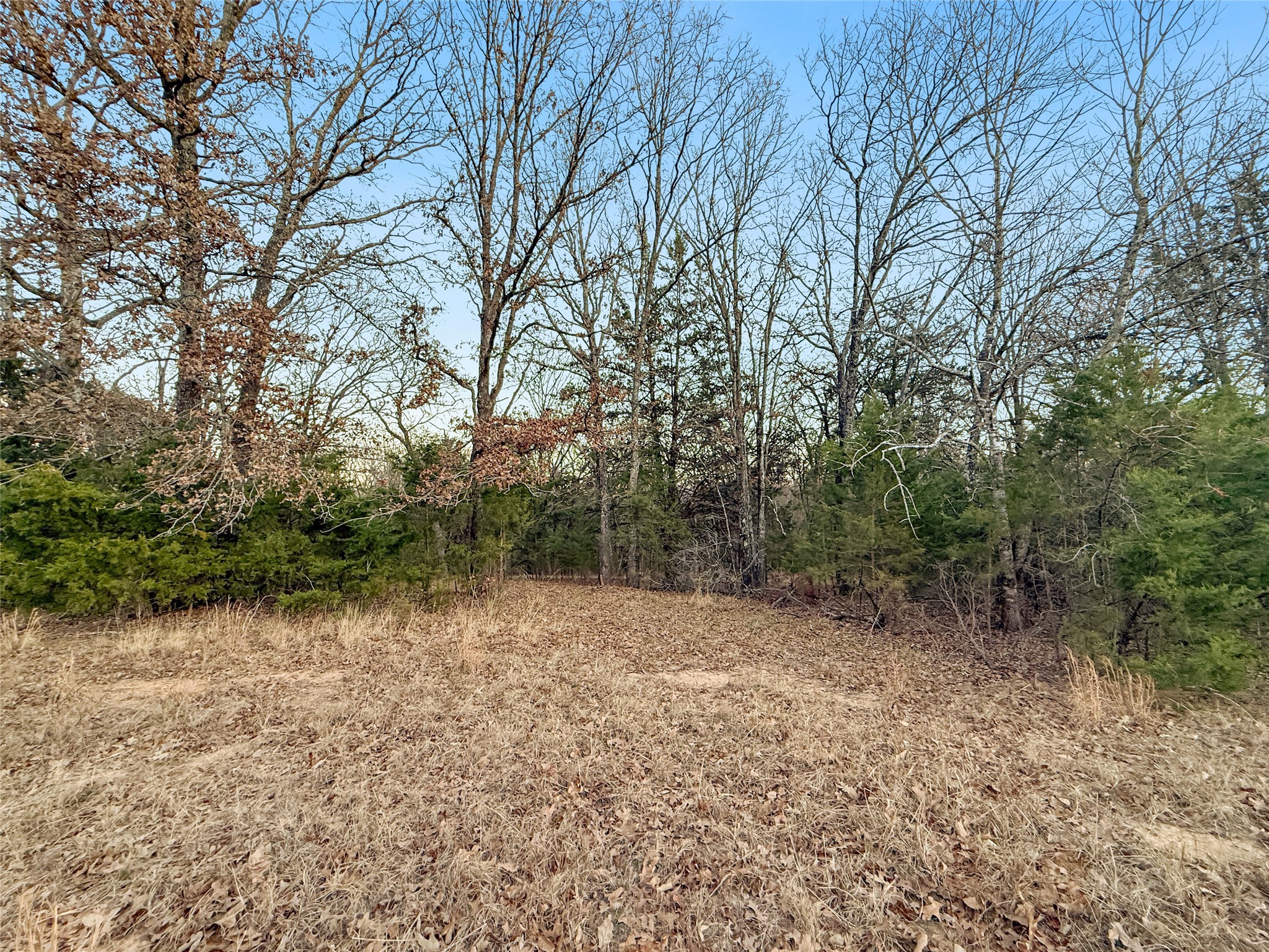 344 Rs County Road 4254 Point TX 75472