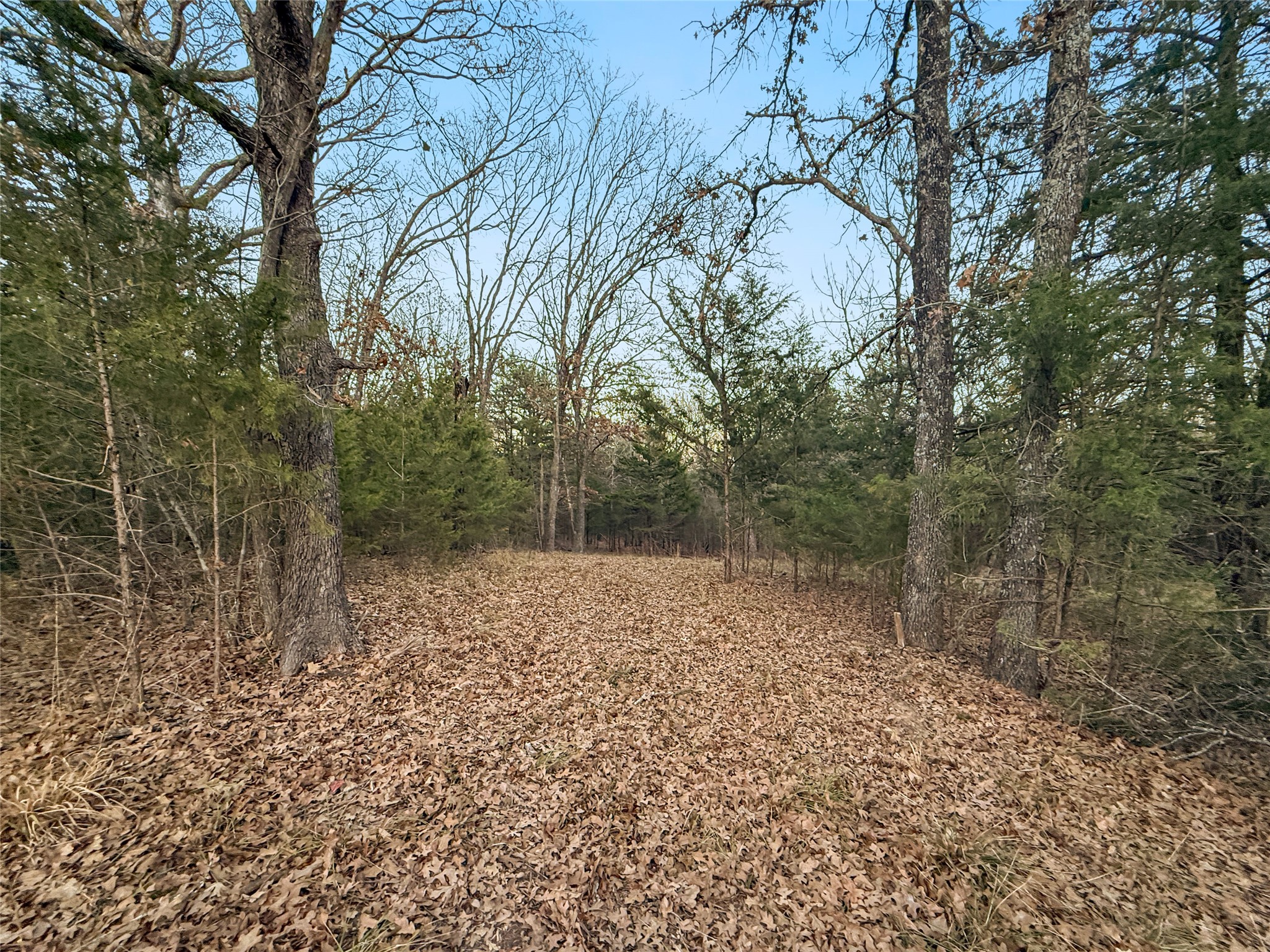 344 Rs County Road 4254 Point TX 75472