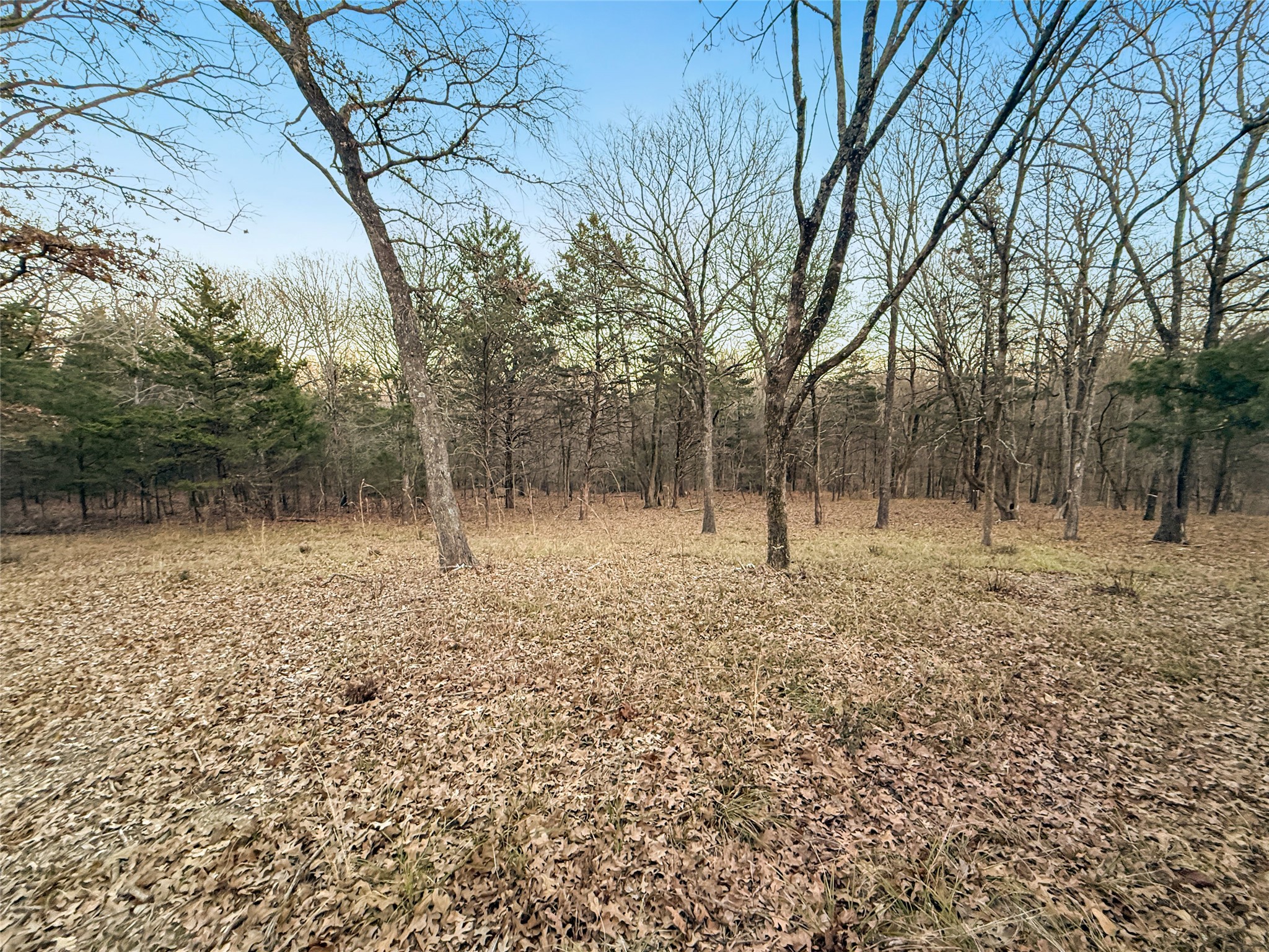 344 Rs County Road 4254 Point TX 75472