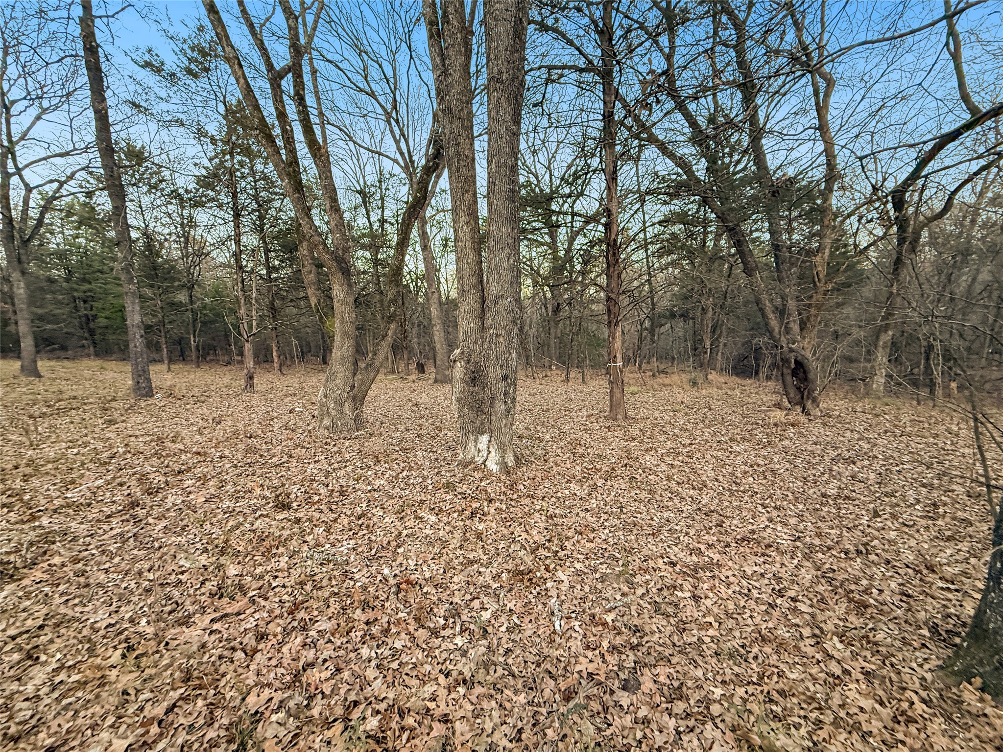 344 Rs County Road 4254 Point TX 75472