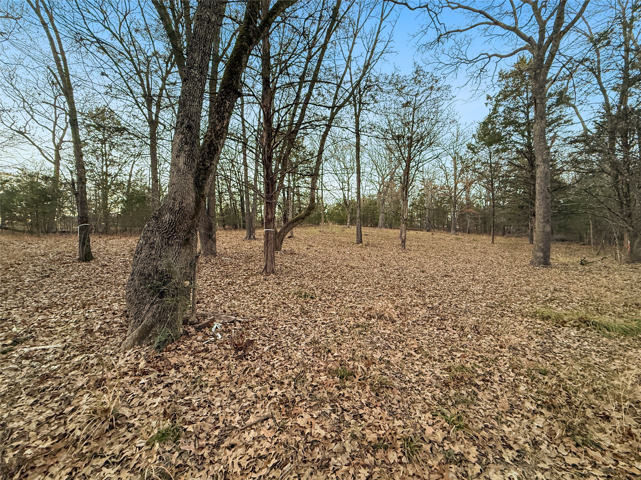344 Rs County Road 4254 Point TX 75472