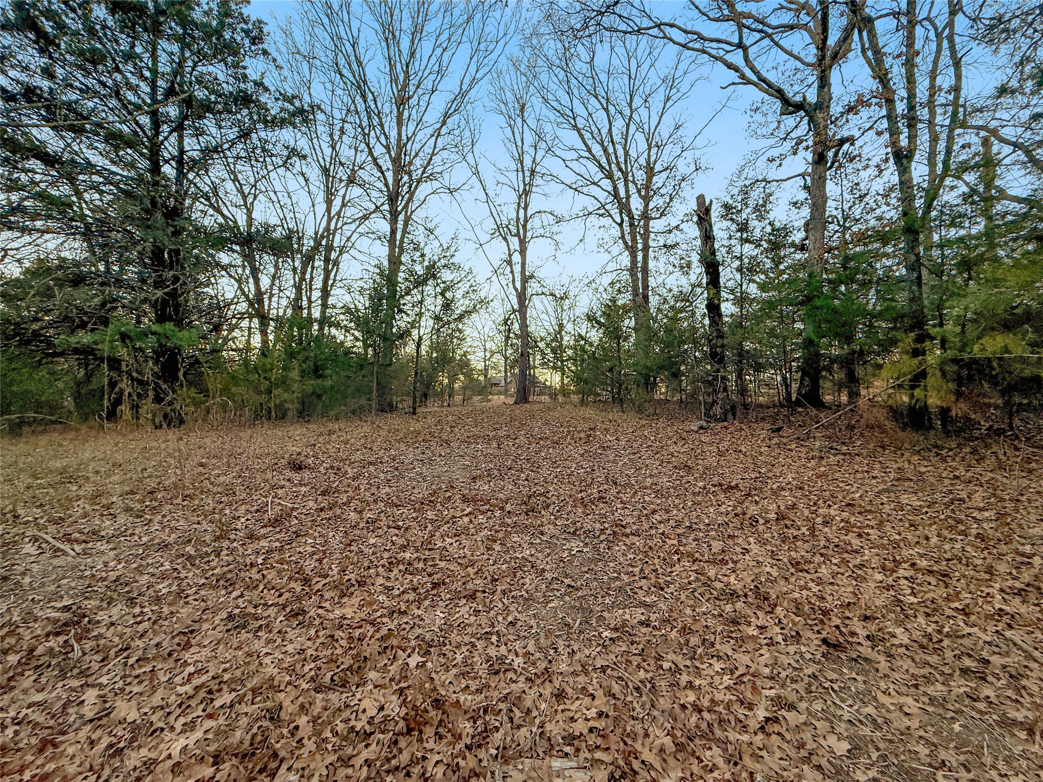 344 Rs County Road 4254 Point TX 75472