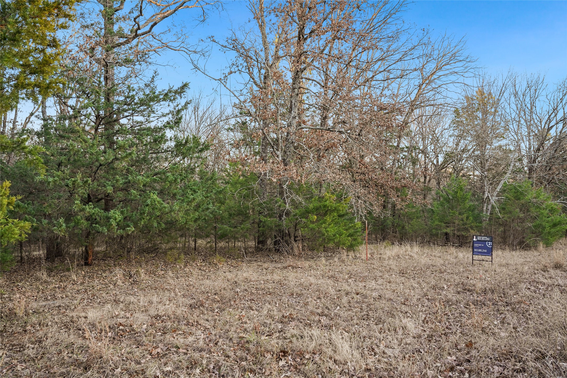 344 Rs County Road 4254 Point TX 75472