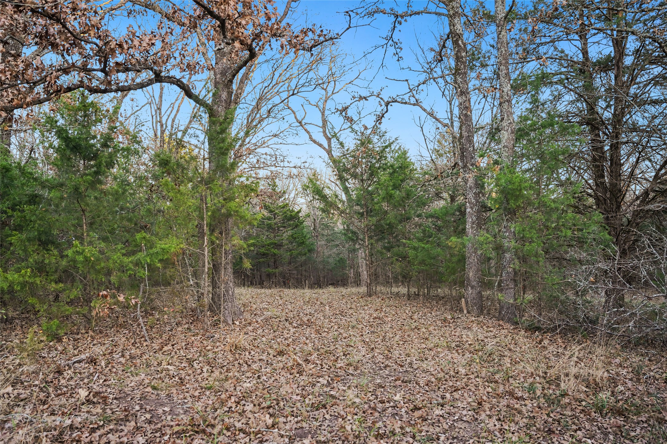 344 Rs County Road 4254 Point TX 75472