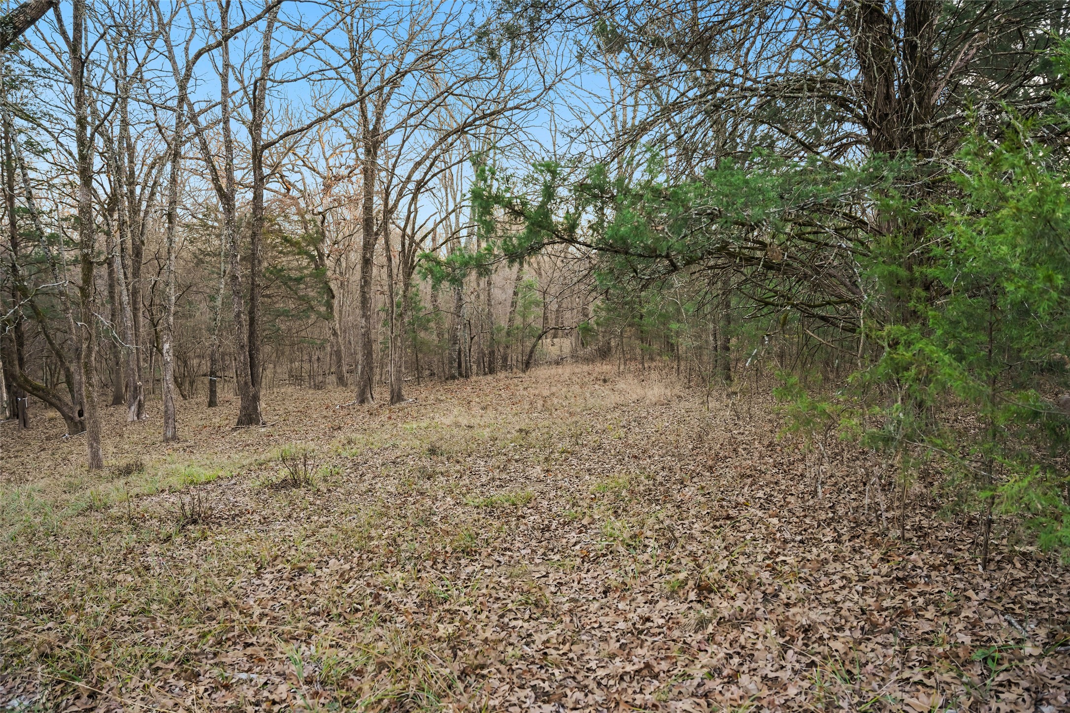 344 Rs County Road 4254 Point TX 75472