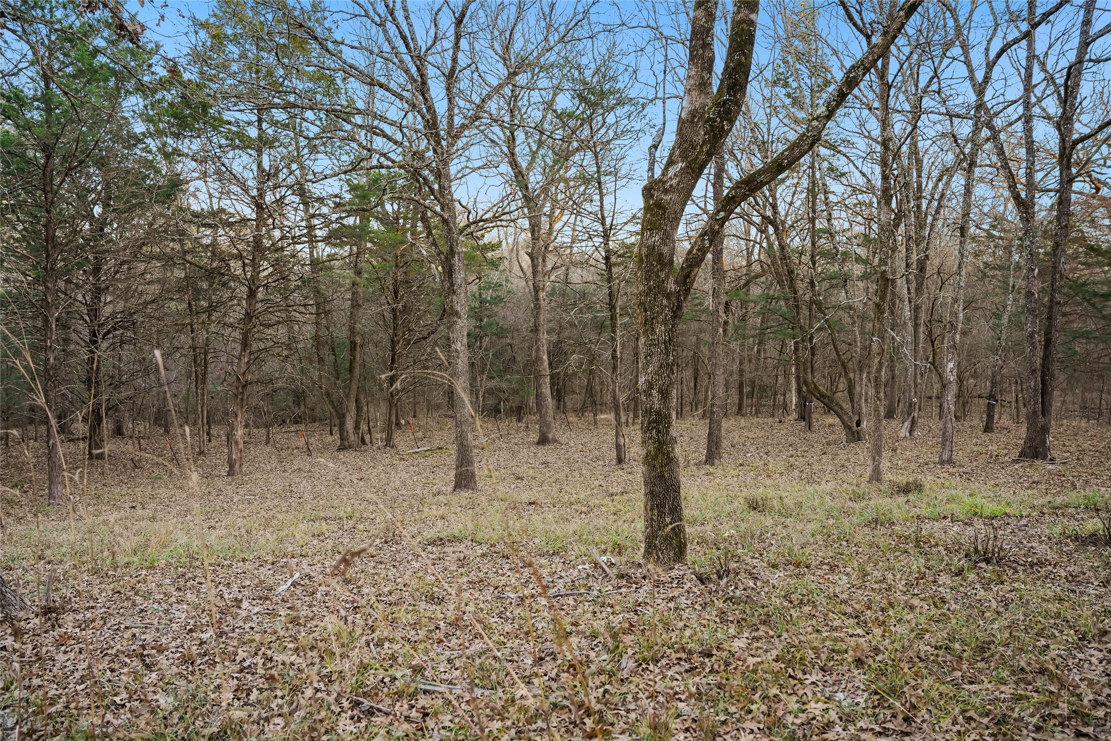 344 Rs County Road 4254 Point TX 75472