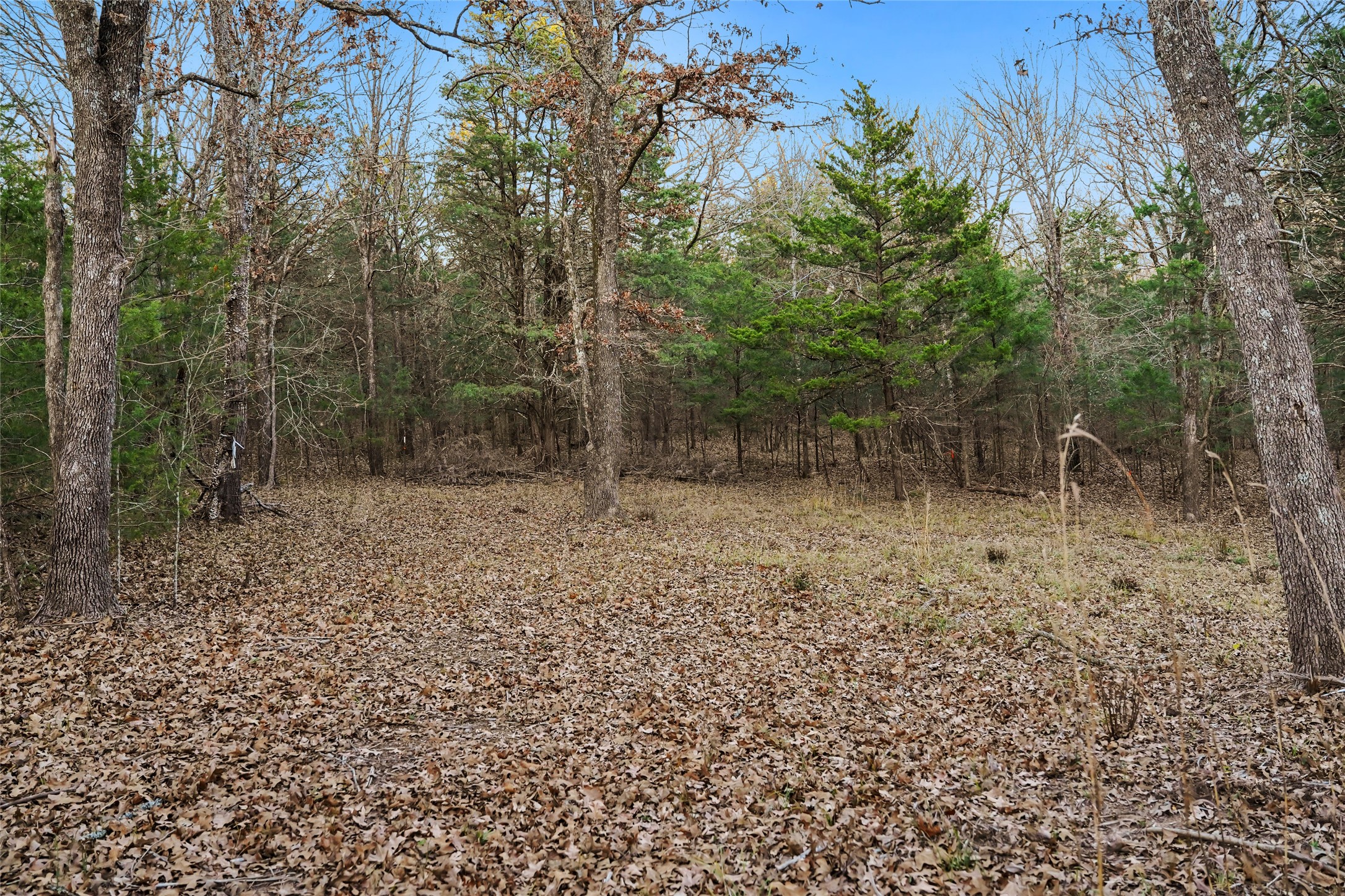 344 Rs County Road 4254 Point TX 75472
