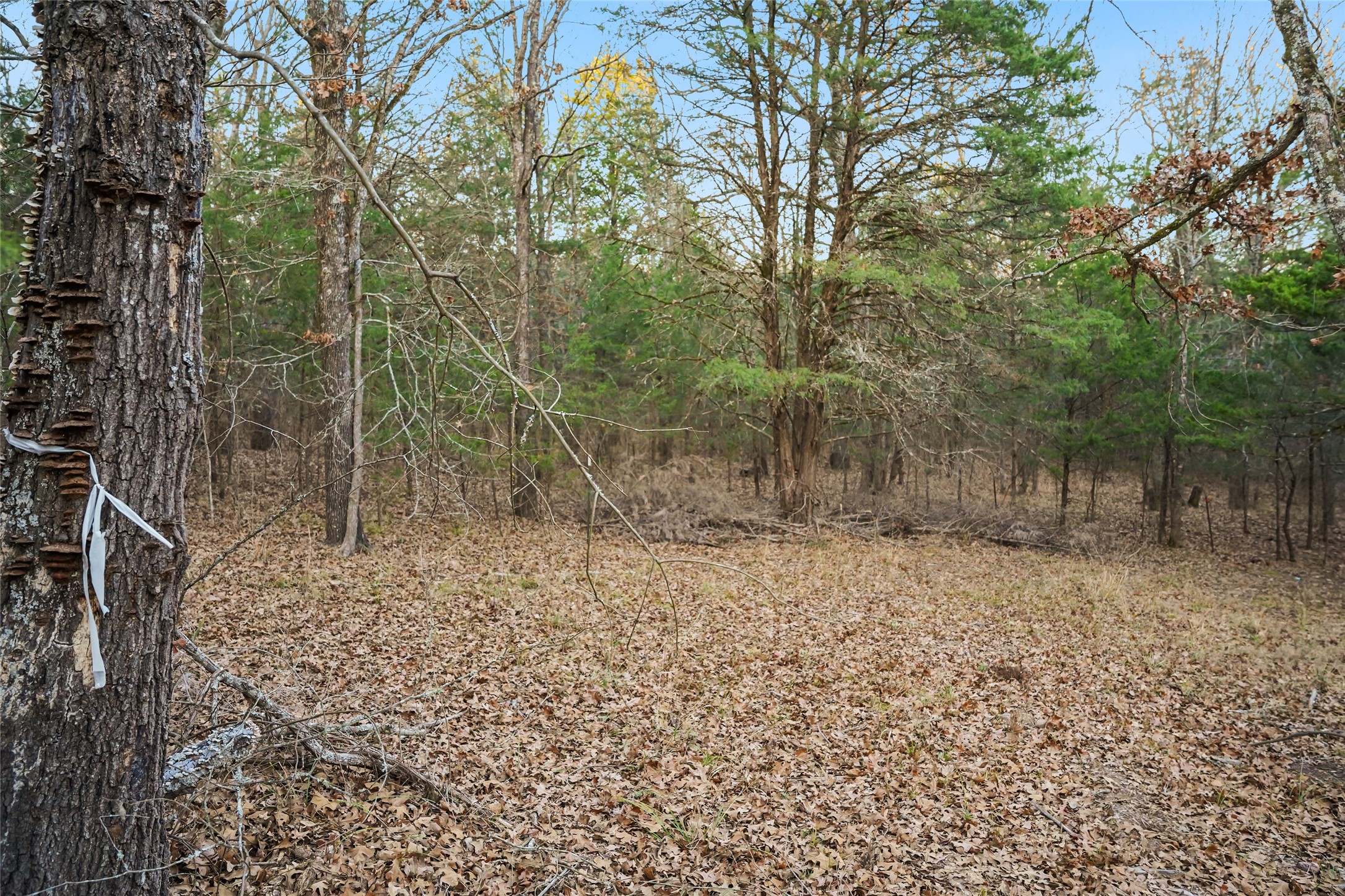 344 Rs County Road 4254 Point TX 75472