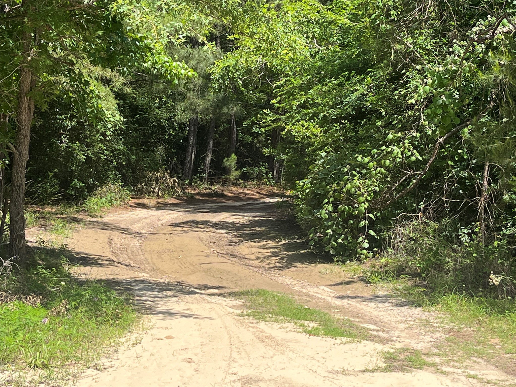 99999 Cr 207 Centerville TX 75833
