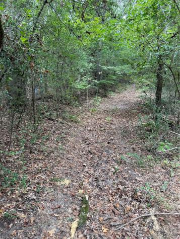 99999 Cr 207 Centerville TX 75833