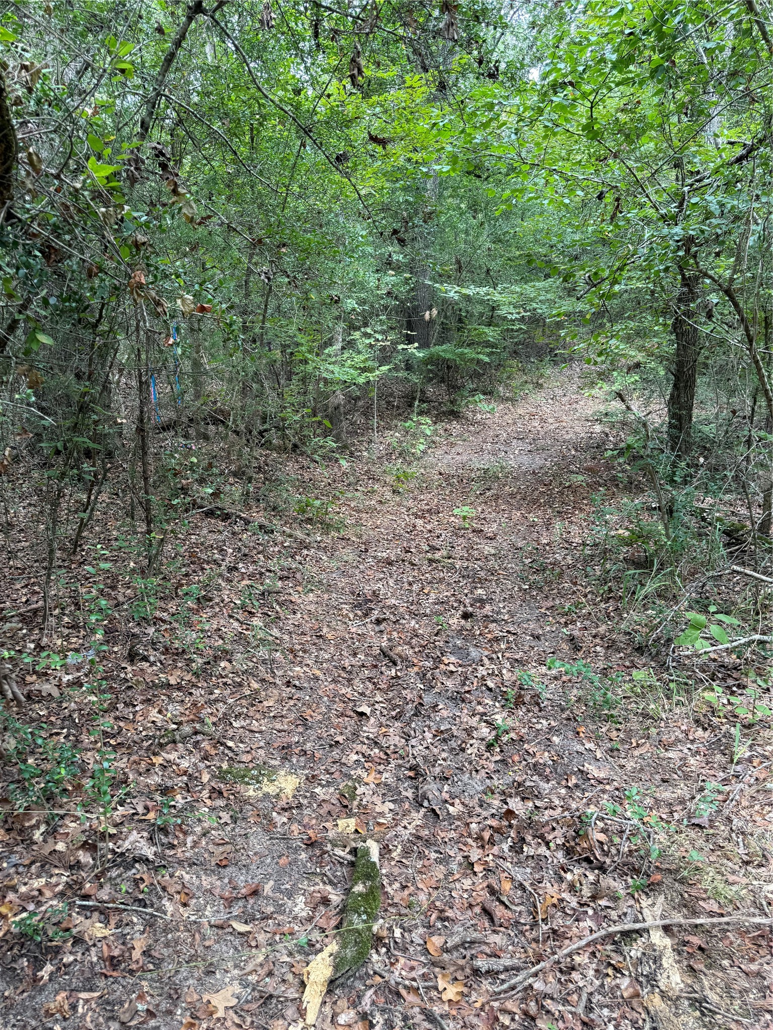 99999 Cr 207 Centerville TX 75833