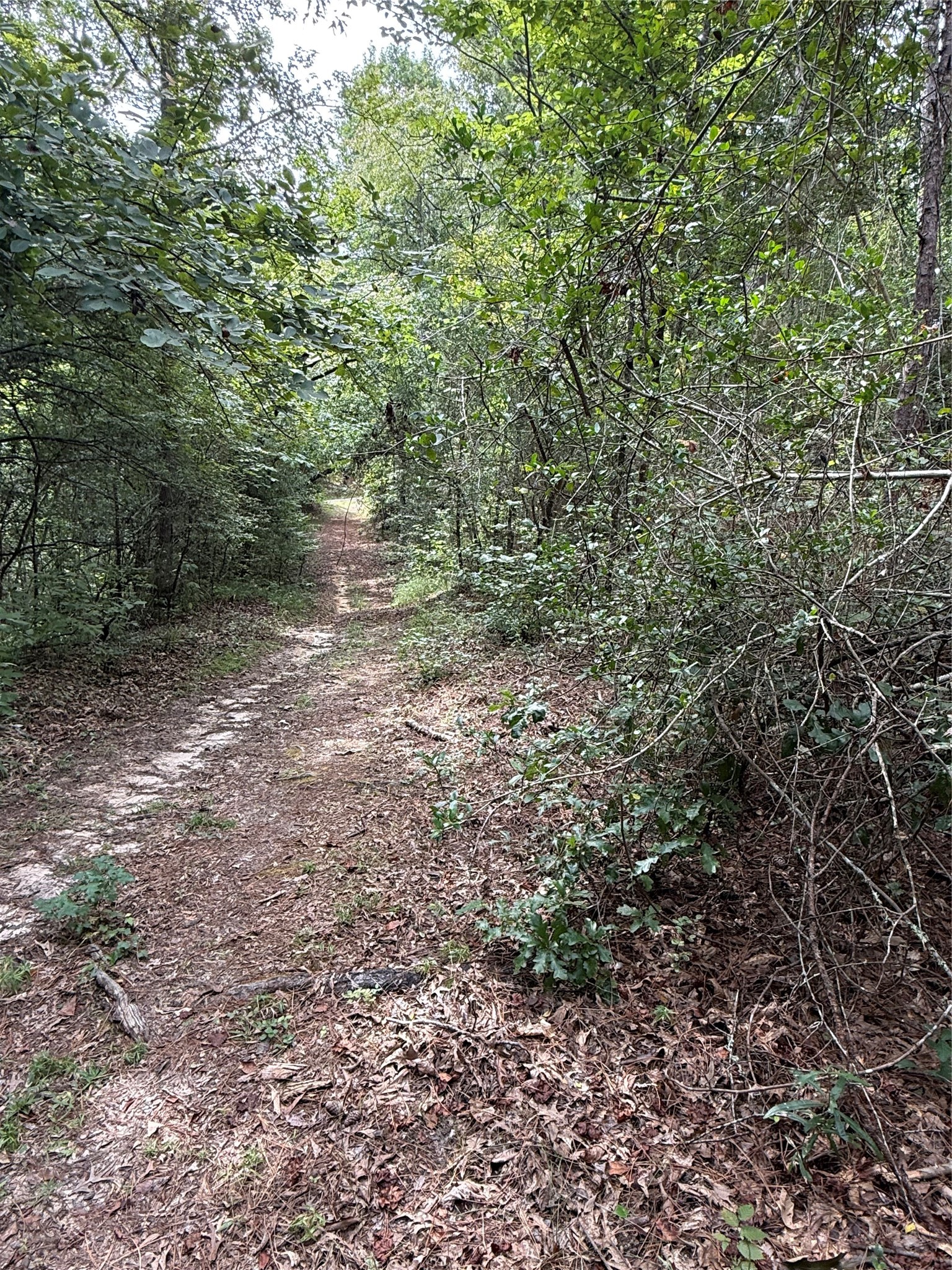99999 Cr 207 Centerville TX 75833