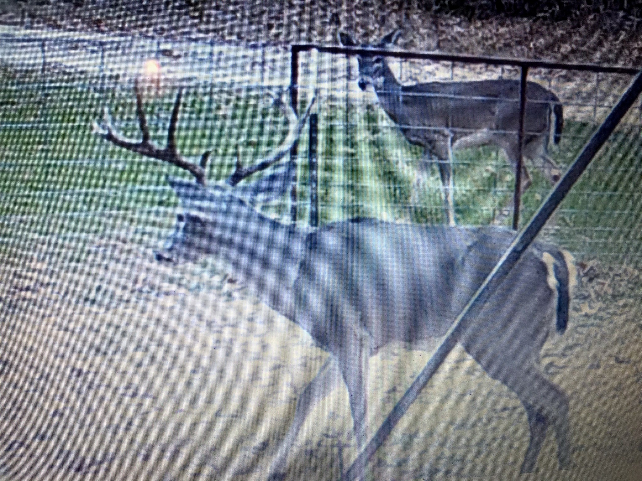 321 Private Road 6815 Eustace TX 75124