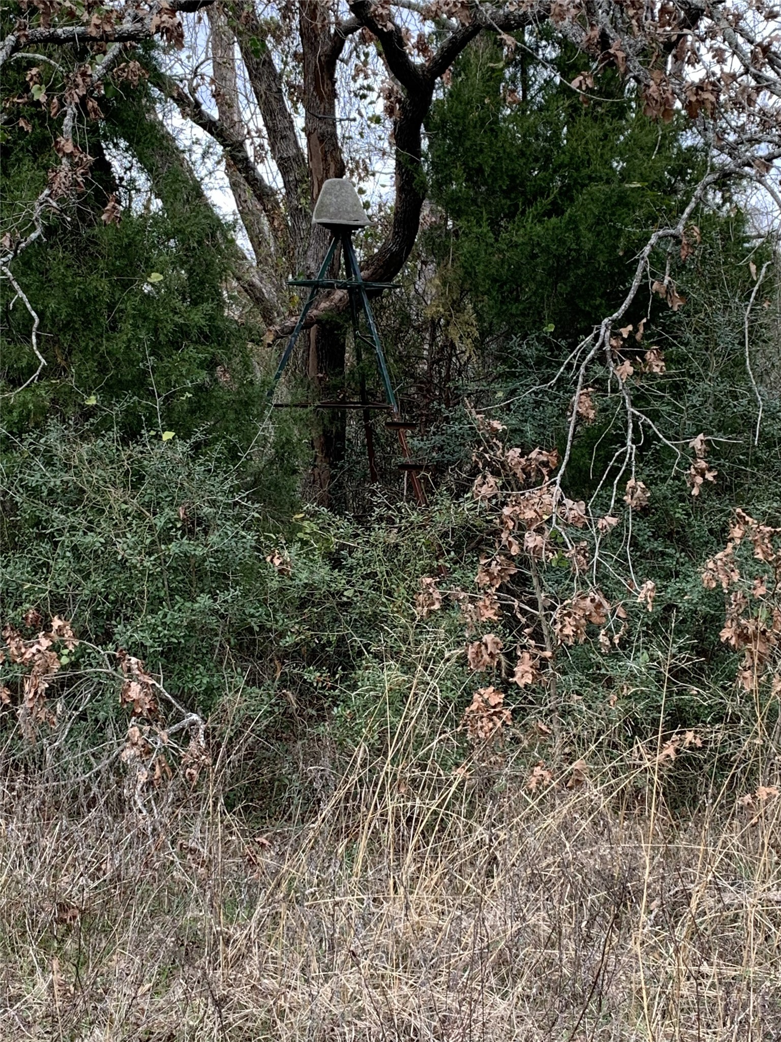 321 Private Road 6815 Eustace TX 75124