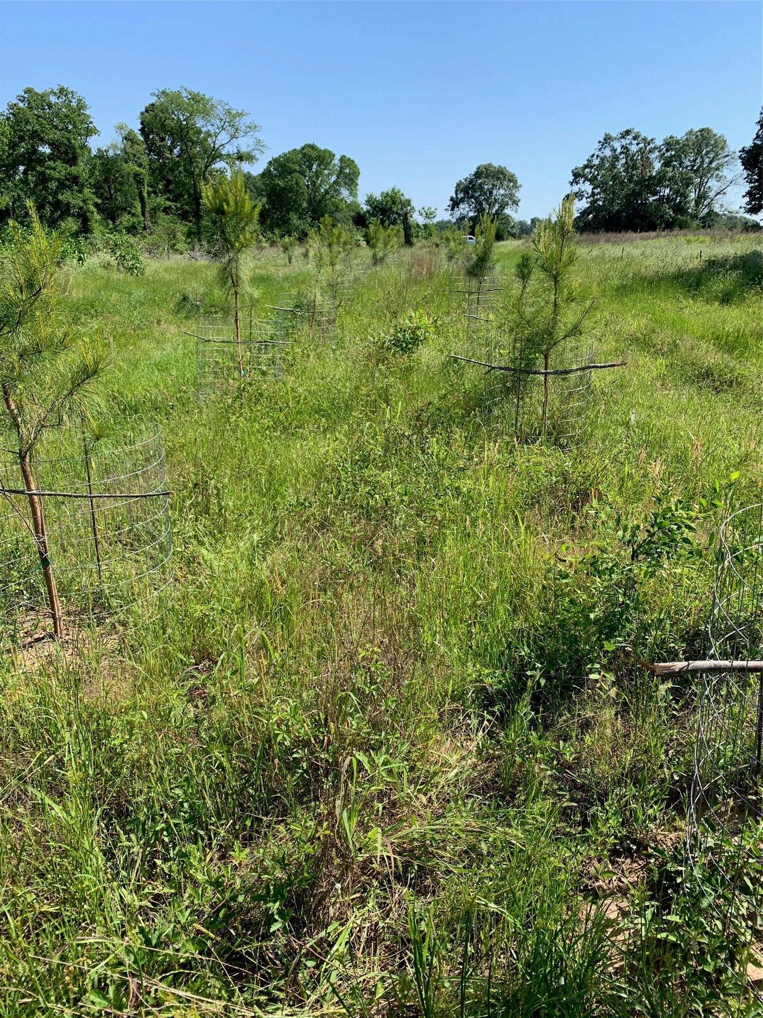 321 Private Road 6815 Eustace TX 75124