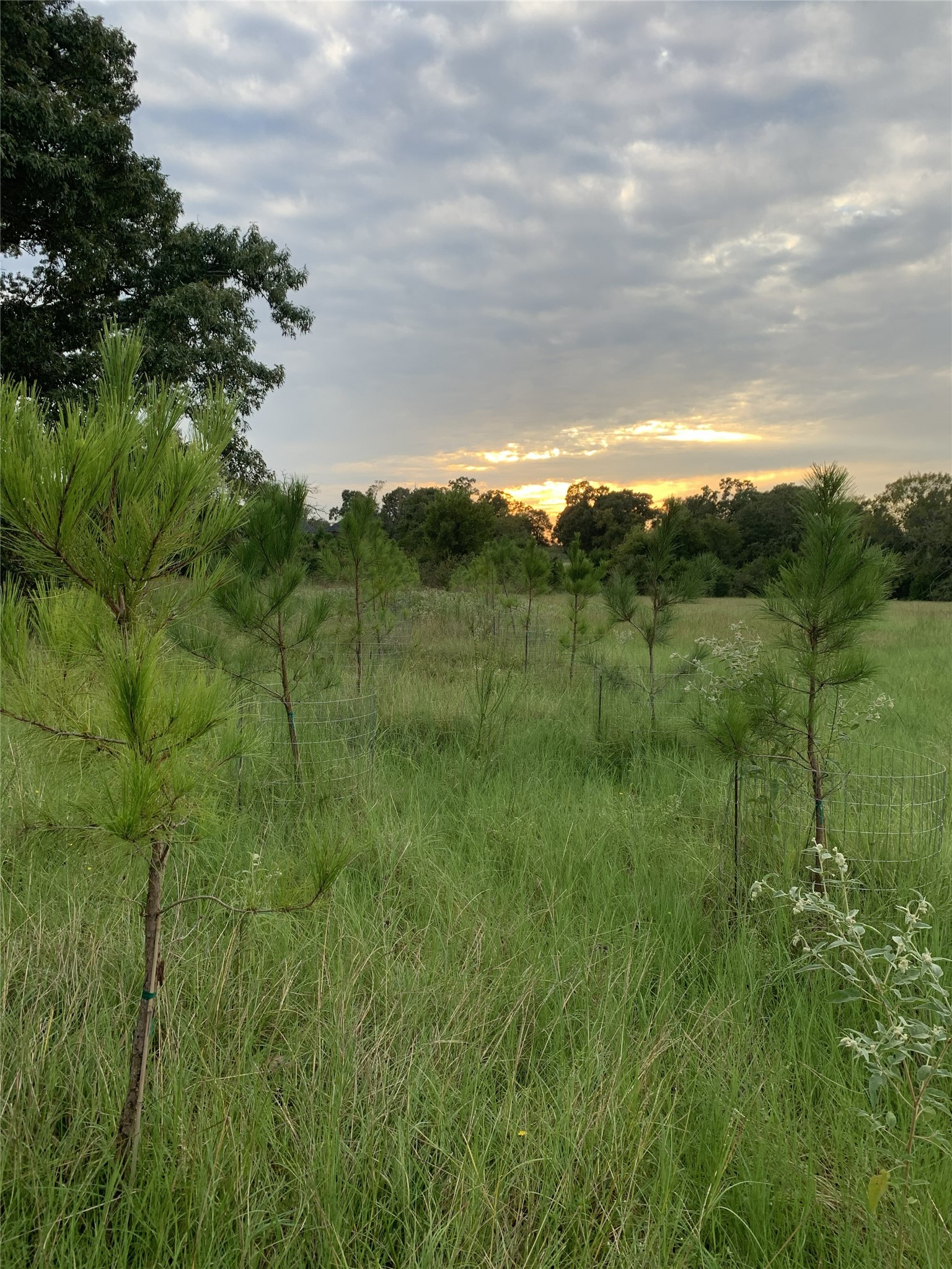 321 Private Road 6815 Eustace TX 75124