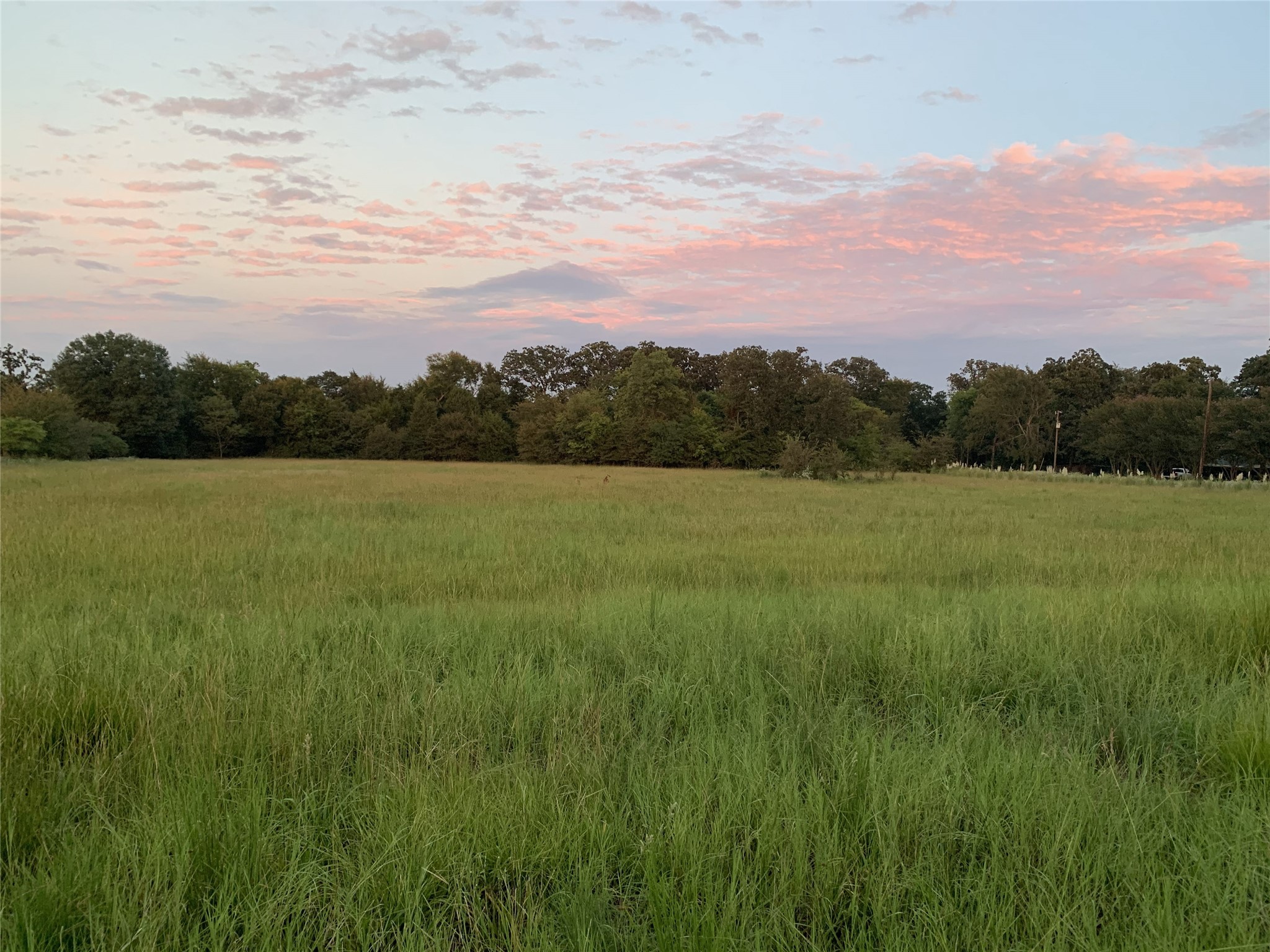 321 Private Road 6815 Eustace TX 75124