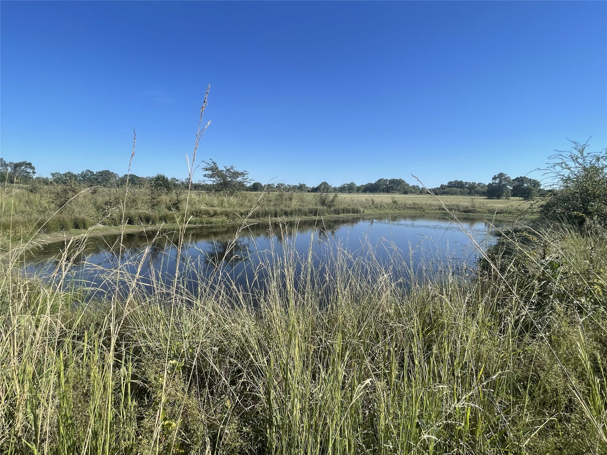 321 Private Road 6815 Eustace TX 75124