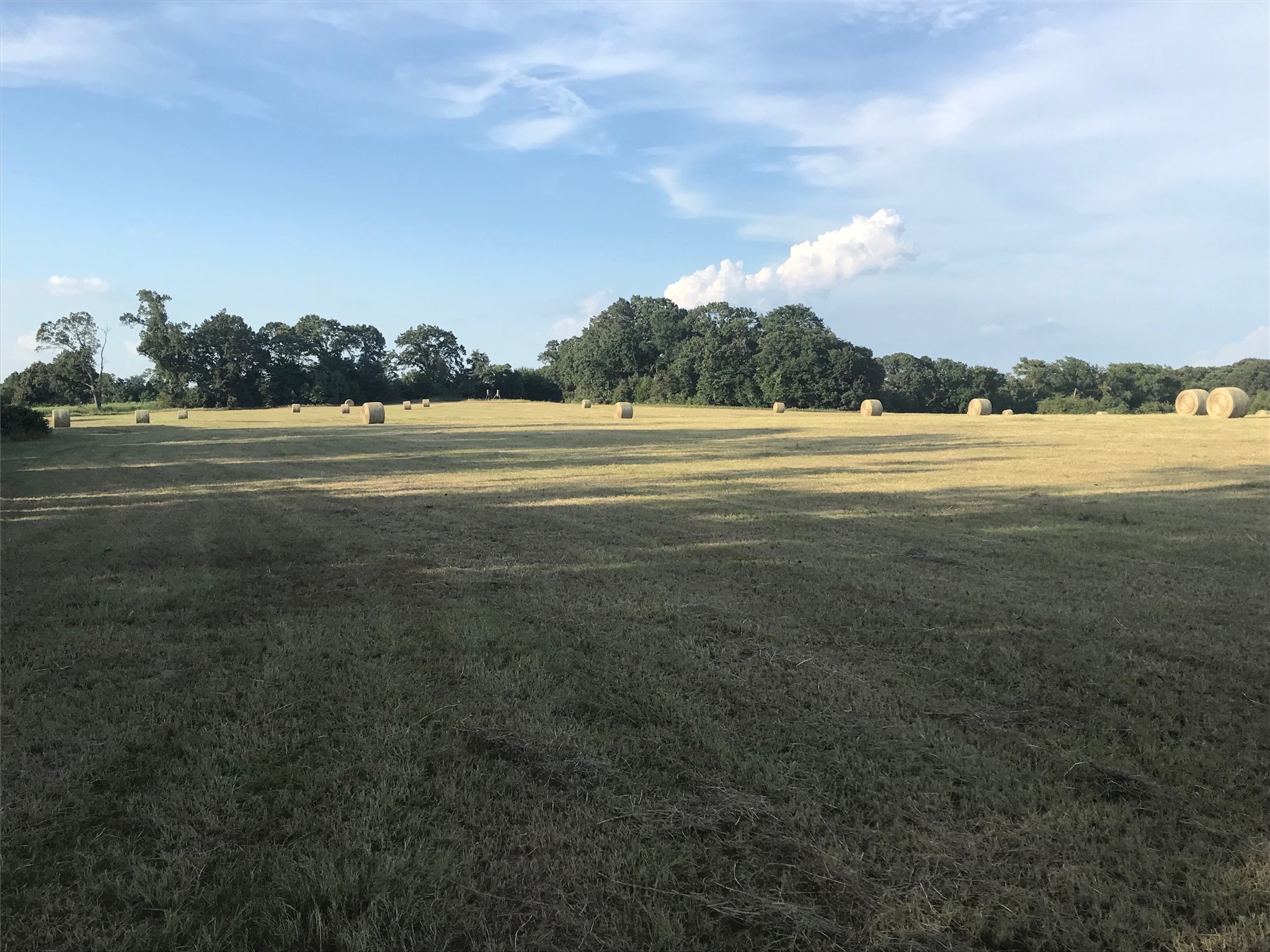 321 Private Road 6815 Eustace TX 75124