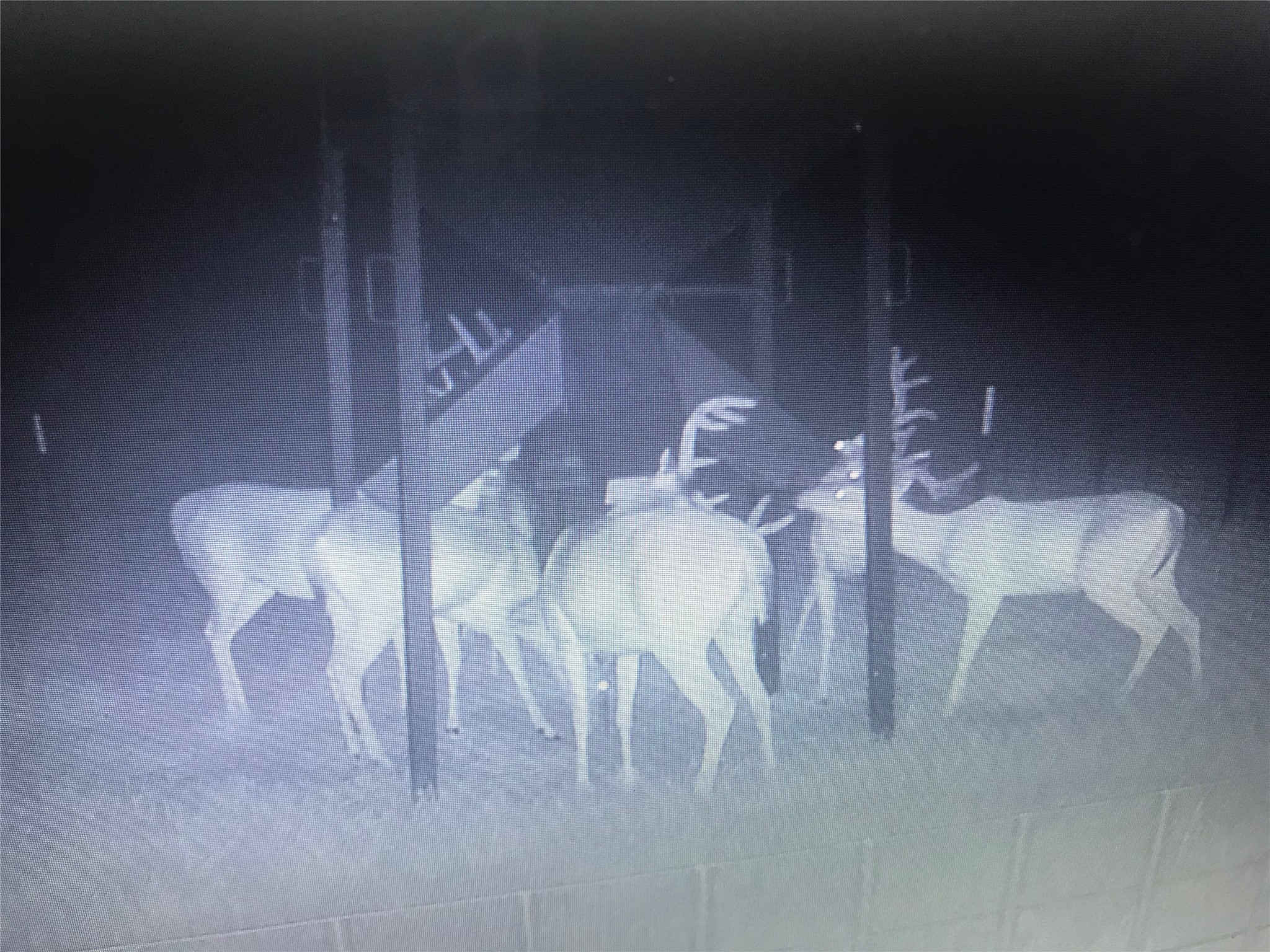 321 Private Road 6815 Eustace TX 75124