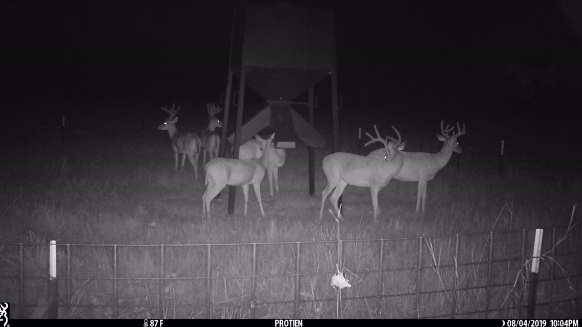 321 Private Road 6815 Eustace TX 75124