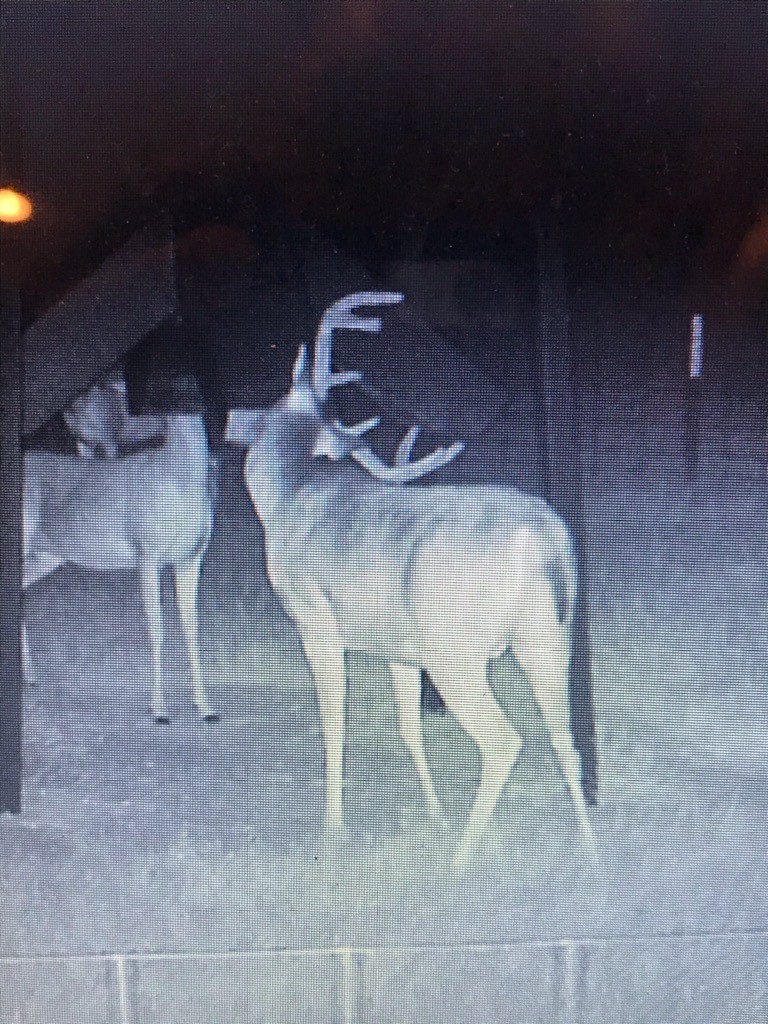 321 Private Road 6815 Eustace TX 75124