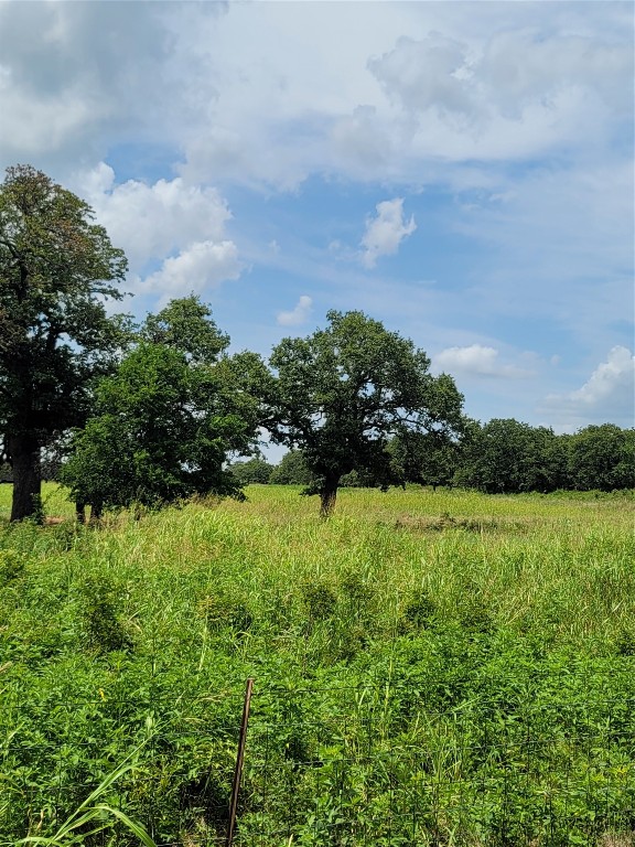 00000 Highway 59 S Bowie TX 76230