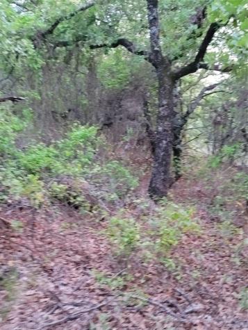 00000 Highway 59 S Bowie TX 76230