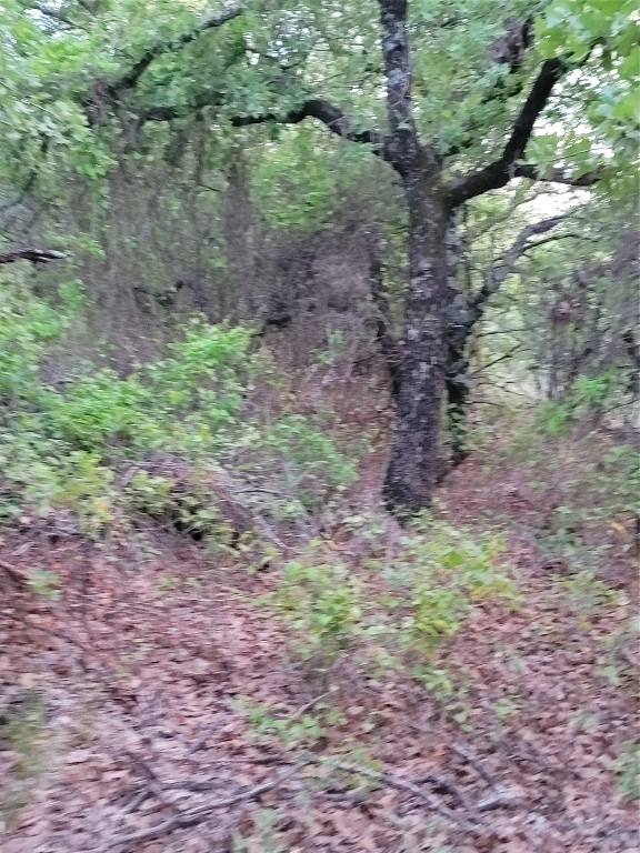 00000 Highway 59 S Bowie TX 76230