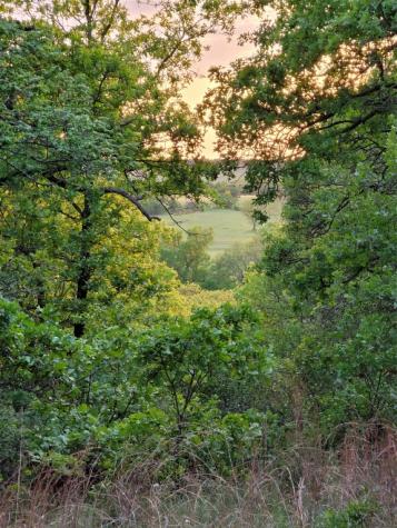 00000 Highway 59 S Bowie TX 76230