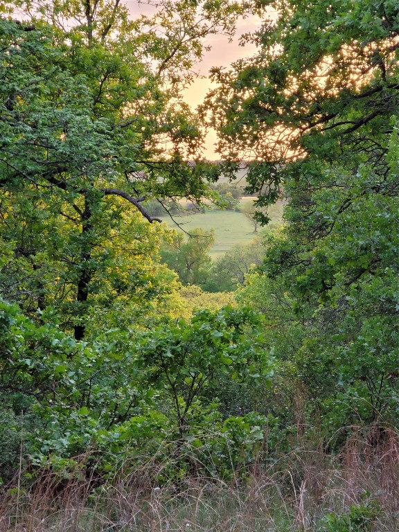 00000 Highway 59 S Bowie TX 76230