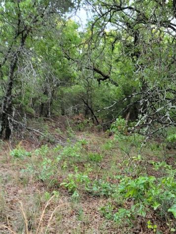 00000 Highway 59 S Bowie TX 76230